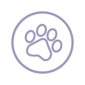 immavet-icon-v-clinic-01.png