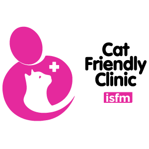 Immavet est accréditée du label cat friendly Mercury