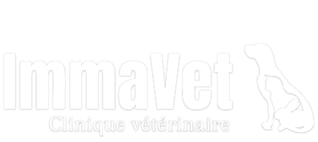IMMAVET clinique vétérinaire - Logo