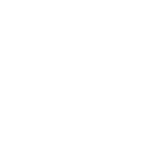 immavet-icon-chirurgie_des_tissus_mous-01.png