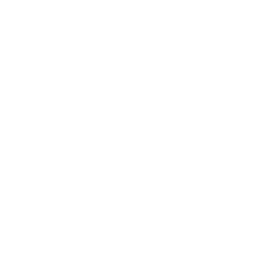 immavet-icon-chirurgie_orthopedique-01.png