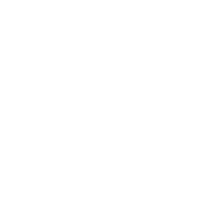 immavet-icon-imagerie_medicale-01.png