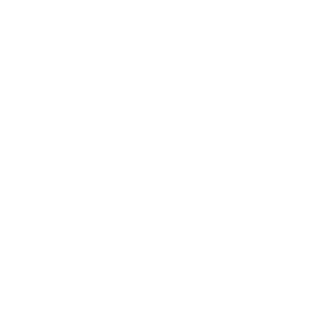 immavet-icon-medecine_comportementale-01.png