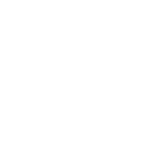 immavet-icon-neurologie-01.png