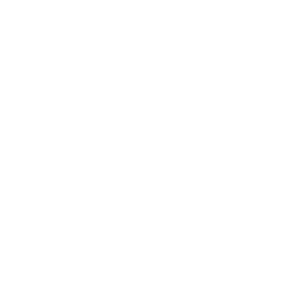 immavet-icon-urgences_et_soins_intensifs-01.png