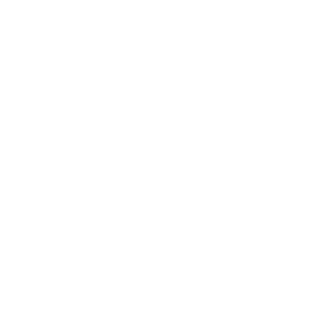 Clinique IMMAVET - Nos Services
